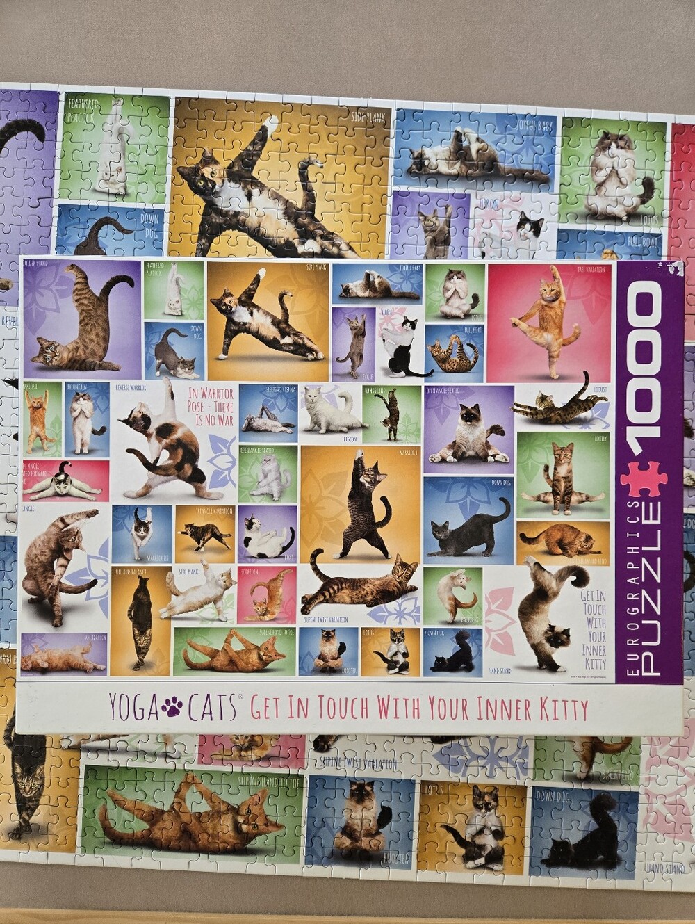 Eurographics "Yoga Cats" 1000 Piece Puzzle
